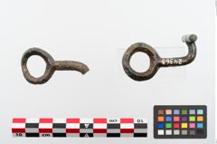 Foto von Bronzeringzügelhaken (NHMW-PRAE-024363)